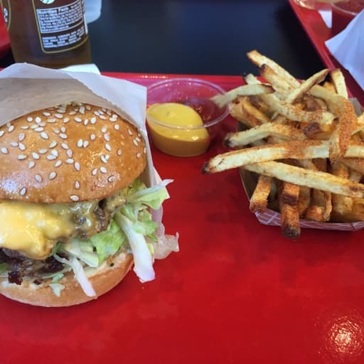 Popsons Burgers — Double Cheeseburger 